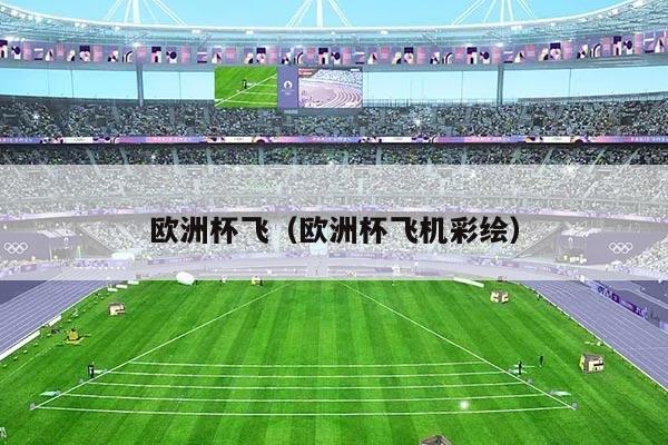 欧洲杯飞（欧洲杯飞机彩绘）